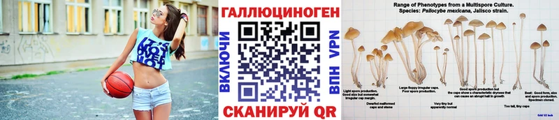 купить   Верхний Уфалей  кракен вход  Псилоцибиновые грибы ЛСД 